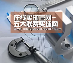 研发能力标题一(图1) 研发能力标题一(图1)