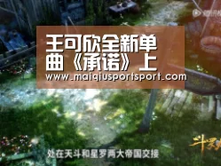 买球网官网
