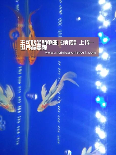 买球网官网
