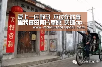 爱上一匹野马 不过在战意里我真的有片草原_买球app下载(图1) 买球app下载