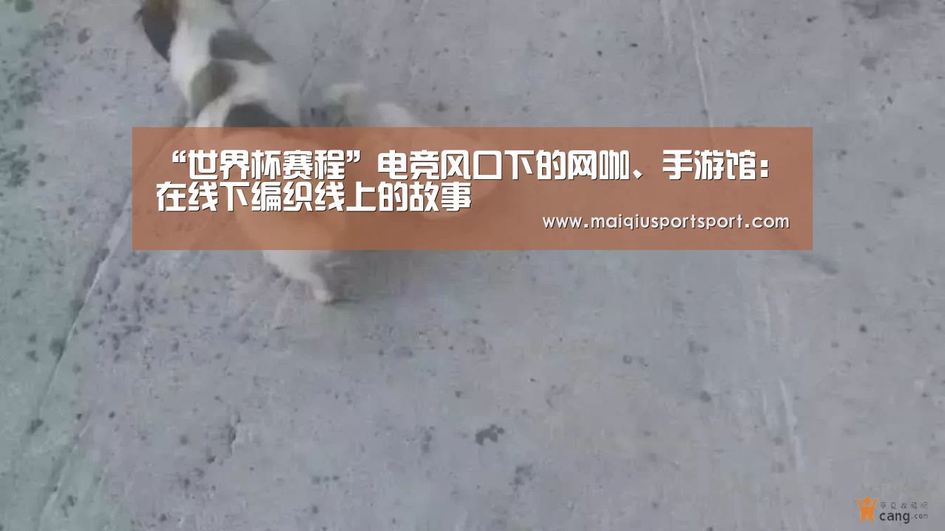“世界杯赛程”电竞风口下的网咖、手游馆:在线下编织线上的故事(图1) 世界杯赛程