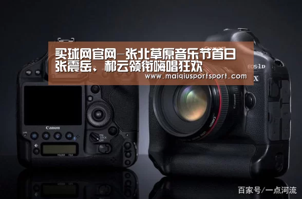 买球网官网-张北草原音乐节首日 张震岳、郝云领衔嗨唱狂欢(图2) 世界杯赛程