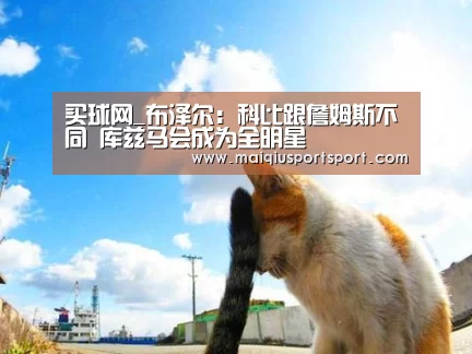 买球app下载