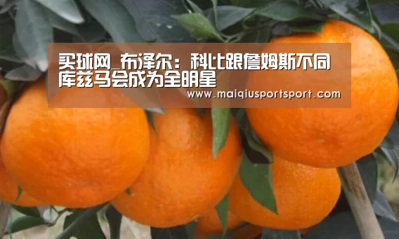 买球网