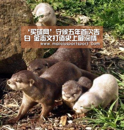 ‘买球网’守候五年首次告白 金志文打造史上最深情歌友会(图3) 买球网官网