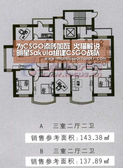 为CSGO添砖加瓦 火猫解说明星Sakula组建CSGO战队“世界杯赛程”(图3) 买球网