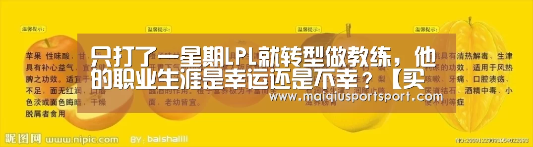 买球网
